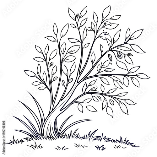 A detailed illustration of a tree with intricate branches and roots.