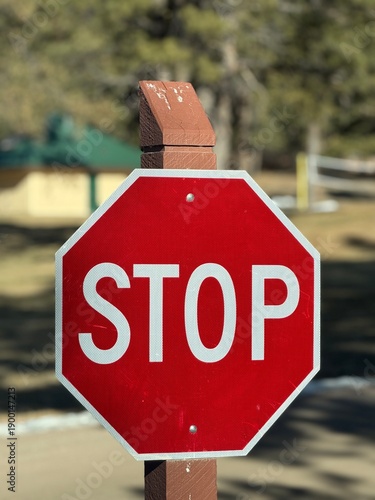Large Stop Sign on the Road