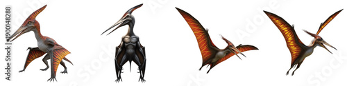 Photos Set of prehistoric pterodactyl dinosaurs in flying and standing poses isolated o