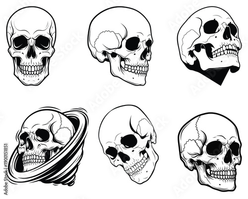 uman Skull Anatomy Reference Set - Vector Illustration of Cranium from Multiple Angles