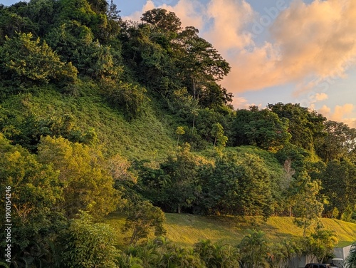 Sunset on the forest in Puerto Rico