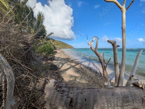 Natural beach in Puerto Rico