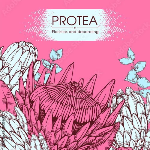 Composition of protea flower