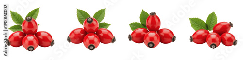 Tableau sur toile Set of fresh red rose hips with green leaves isolated on white background for he