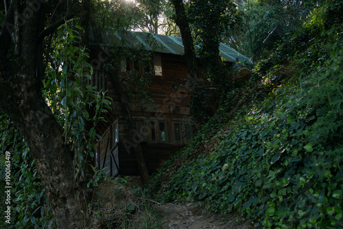 Old wooden cabin in the middle of the forest