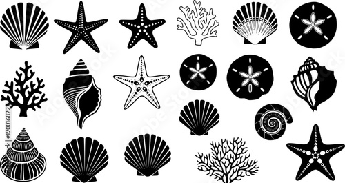 Sea shells, starfish, corals, and sand dollar silhouettes, marine life vector icons, ocean nature illustration, beach elements collection, underwater wildlife design