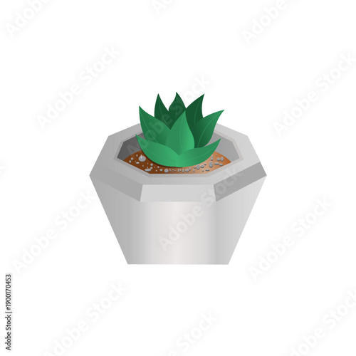 Isometric Modern Succulent Plant in Hexagon Concrete Pot with Pebble Stones Detail, Indoor Houseplant Vector Illustration
