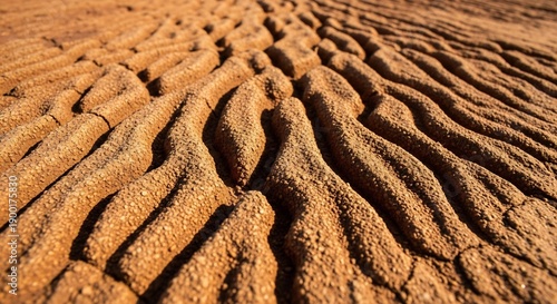 Intricate patterns of eroded sandstone formations in a desert landscape under sunlight.