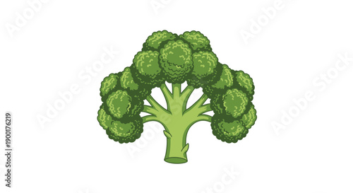 A vibrant illustration of a fresh green broccoli floret on a white background