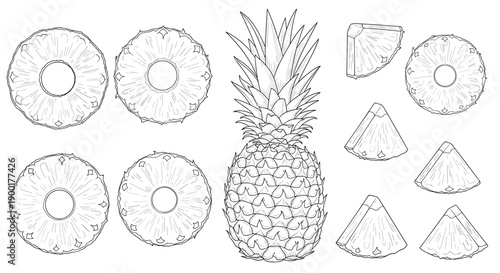 Vibrant pineapple illustration showcases whole fruit and perfectly sliced rounds and wedges, perfect for healthy lifestyle and tropical food designs