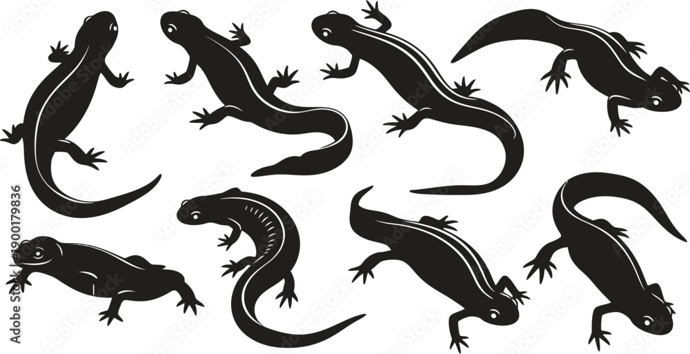 Obraz premium Collection of various lizard silhouettes on a white background showcasing different poses and shapes silhouette