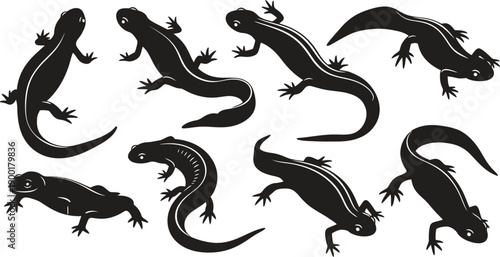 Collection of various lizard silhouettes on a white background showcasing different poses and shapes silhouette