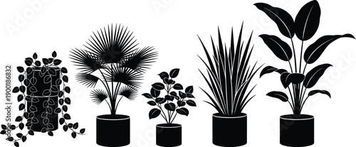 Potted, houseplant, collection, indoor, botanical, greenery, silhouettes, set, vector, illustration, black, and, white, leaves, nature, home, decor, garden, icons, design