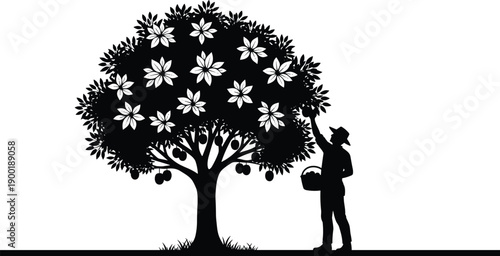 Farmer harvesting fruit tree silhouette with blossoms and apples, agriculture nature scene for organic farming, rural lifestyle, vector illustration