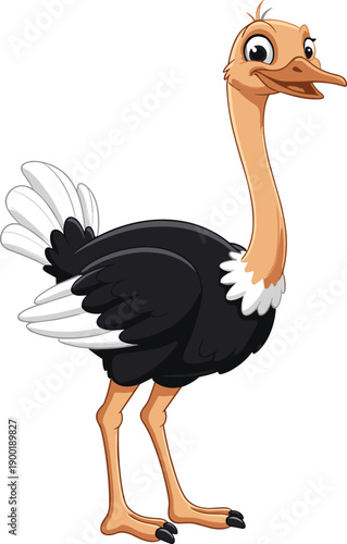 Smiling ostrich cartoon character with long neck and black feathers, cute flightless bird illustration standing isolated on white background for graphic design,