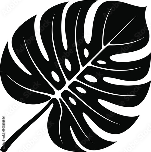 A minimalist black and white silhouette of a beautiful tropical Monstera leaf, perfect for elegant botanical designs and contemporary graphic art