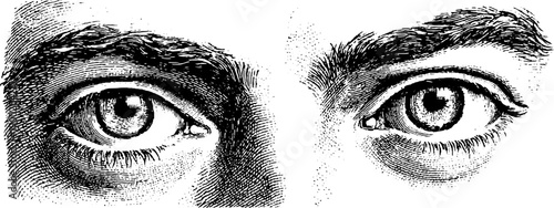 Vintage engraving of human eye anatomy in botanical style for educational use