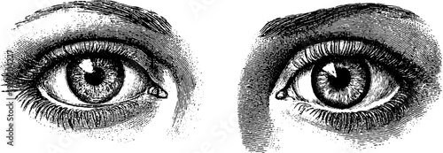 Intricate vintage anatomical engraving of human eyes for educational and artistic design