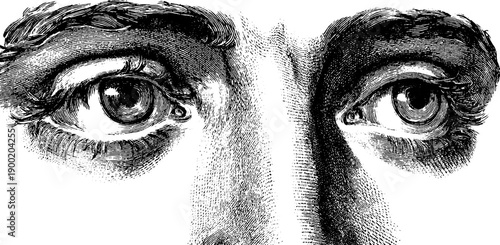 Vintage botanical engraving of human eyes for design and decoration