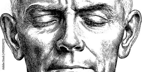 Serene meditation: vintage botanical engraving of a calm human face for artistic reflection