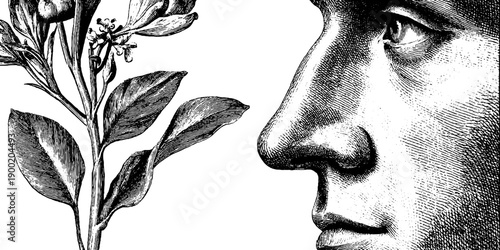 Classical human face with botanical elements in vintage style engraving