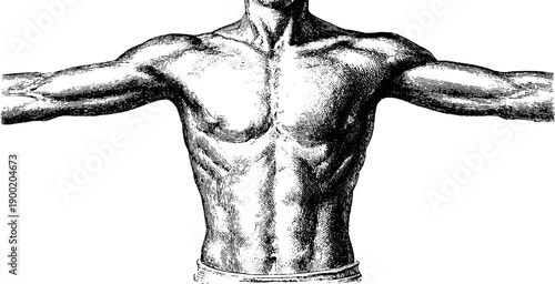 Vintage engraving of relaxed human figure with botanical influence for artistic designs