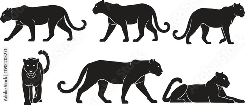 Silhouette of a person and various cat poses showcasing different animal movements in a creative and artistic way silhouette