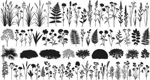 Wild plants and trees silhouettes collection isolated on white background featuring grasses flowers shrubs for botanical design, nature illustration, landscape use
