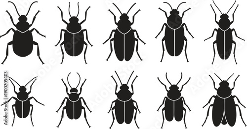 Silhouette of various beetle species in a grid pattern