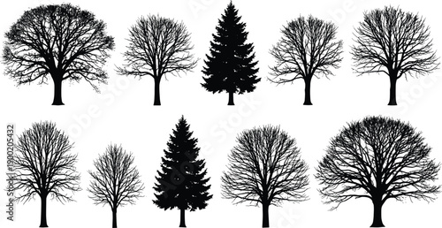 Winter and summer tree silhouettes collection, deciduous and evergreen forest trees, detailed black nature shapes isolated on white background vector set