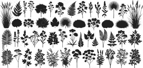 Wild plants silhouettes collection isolated on white background featuring grasses flowers shrubs trees for botanical design, nature illustration infographic use