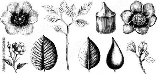 Vintage botanical jewellery silhouette set with minimal engraved floral designs