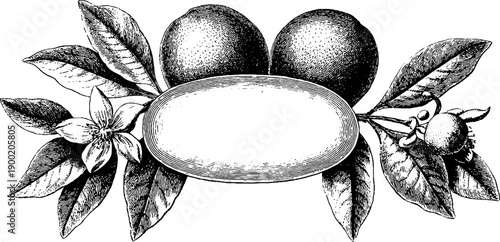 Vintage botanical label frame with blank oval interior for design or print