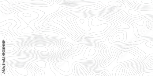 Minimal Abstract Monochrome Topographic Map Texture Featuring Flowing Contour Lines, Organic Terrain Elevation Forms and Natural Curves Designed for Modern Posters and Visual Systems.
