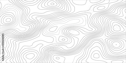 Abstract Black and White Cartographic Topographic Pattern with Smooth Wavy Contour Lines, Organic Elevation Structures and Fingerprint Like Flow for Contemporary Design Backgrounds.