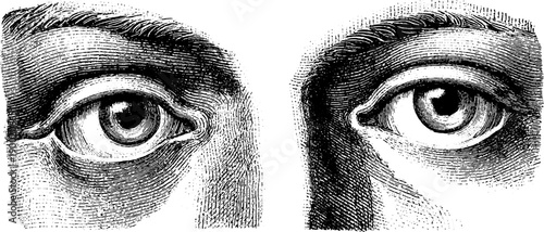 Symmetrical human face with botanical elements in vintage etching style