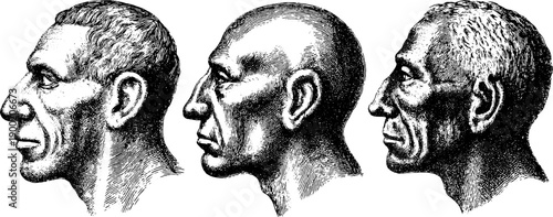 Vintage botanical engraving of neutral human face in three quarter view