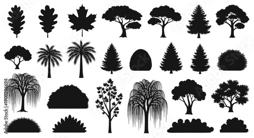 Diverse vector silhouettes of trees and bushes, featuring various plant species like oak, maple, pine, palm, and willow, ideal for landscape and nature designs