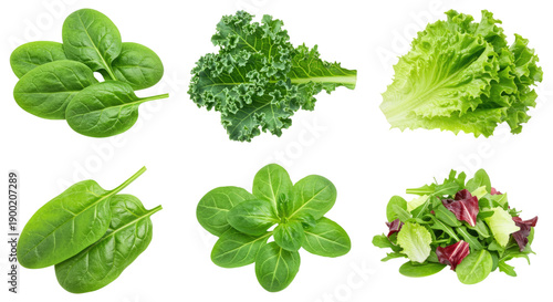 Assortment of fresh green salad leaves including spinach, kale, leaf lettuce and mixed salad
