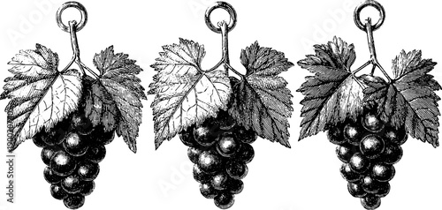 Vintage botanical pendant design with engraved grapes and leaves for jewelry and decoration