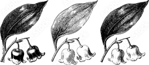 Neutral form botanical pendant silhouette with vintage engraved leaves and flowers