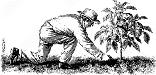 Vintage botanical engraving of a person gardening with planting scene