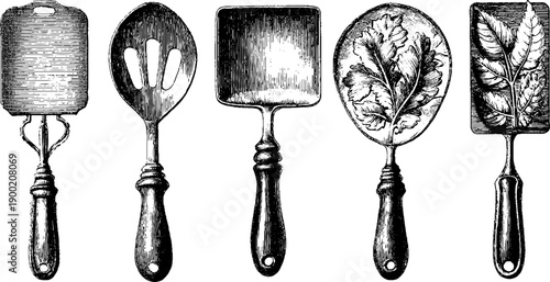 Vintage botanical engraving of kitchen spatula utensils for culinary design and decor