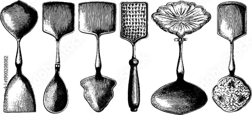 Vintage botanical engraving of spatula utensils - taxonomy plate for kitchen design
