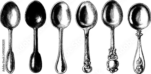 Vintage spoon shape comparison chart – botanical engraving for retro design