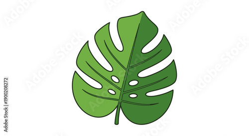 Simple green monstera leaf illustration on white background.