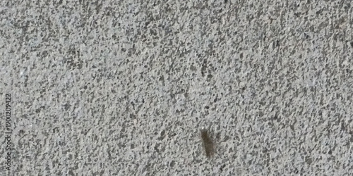 High resolution abstract gray asphalt and concrete surface texture with rough granular details, grit, stone like noise, scattered speckles and soft tonal variation for wallpaper and overlays. 