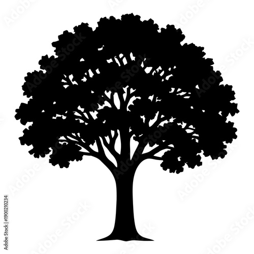 Illustration of silhouette of a mature deciduous tree with dense foliage, black and white graphic
