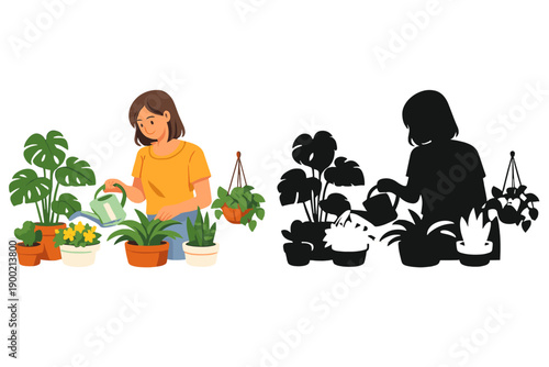 Woman waters indoor plants while creating a shadow of her activity during a sunny afternoon at home