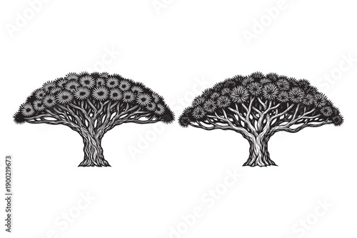 Two stylized dragon trees, unique plants, black and white illustration